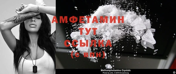 стафф Осташков
