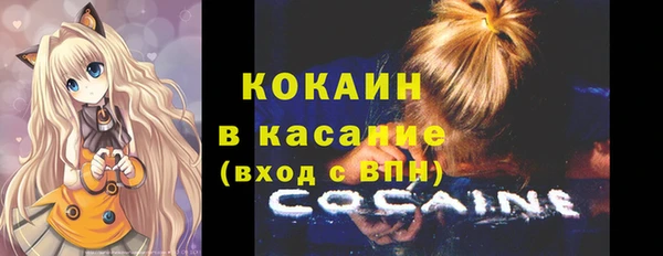 соль ск Дедовск