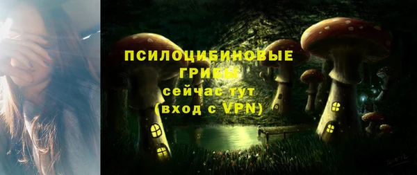стафф Осташков