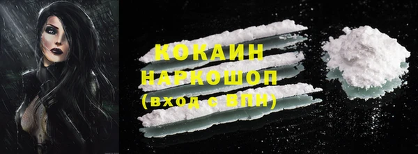 дживик Осинники