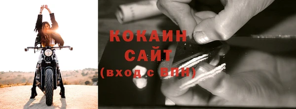 дживик Осинники
