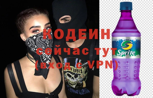 дживик Осинники