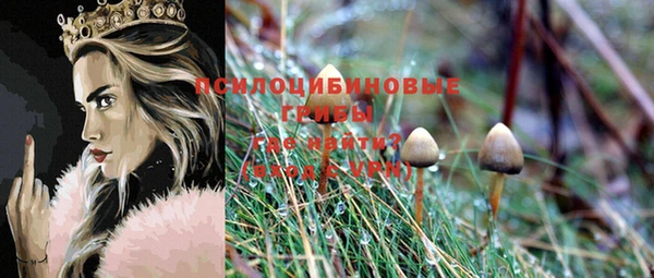 стафф Осташков
