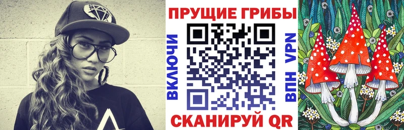 где продают наркотики  Переславль-Залесский  Псилоцибиновые грибы мицелий 
